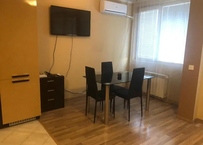 公寓 Rakovski Gn / Free Garage 索菲亞